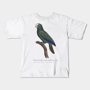 Cuban Amazon Parrot Juvenile Male / Le Perroquet a Face Rouge Male, Jeune Age - 19th century Jacques Barraband Illustration Kids T-Shirt